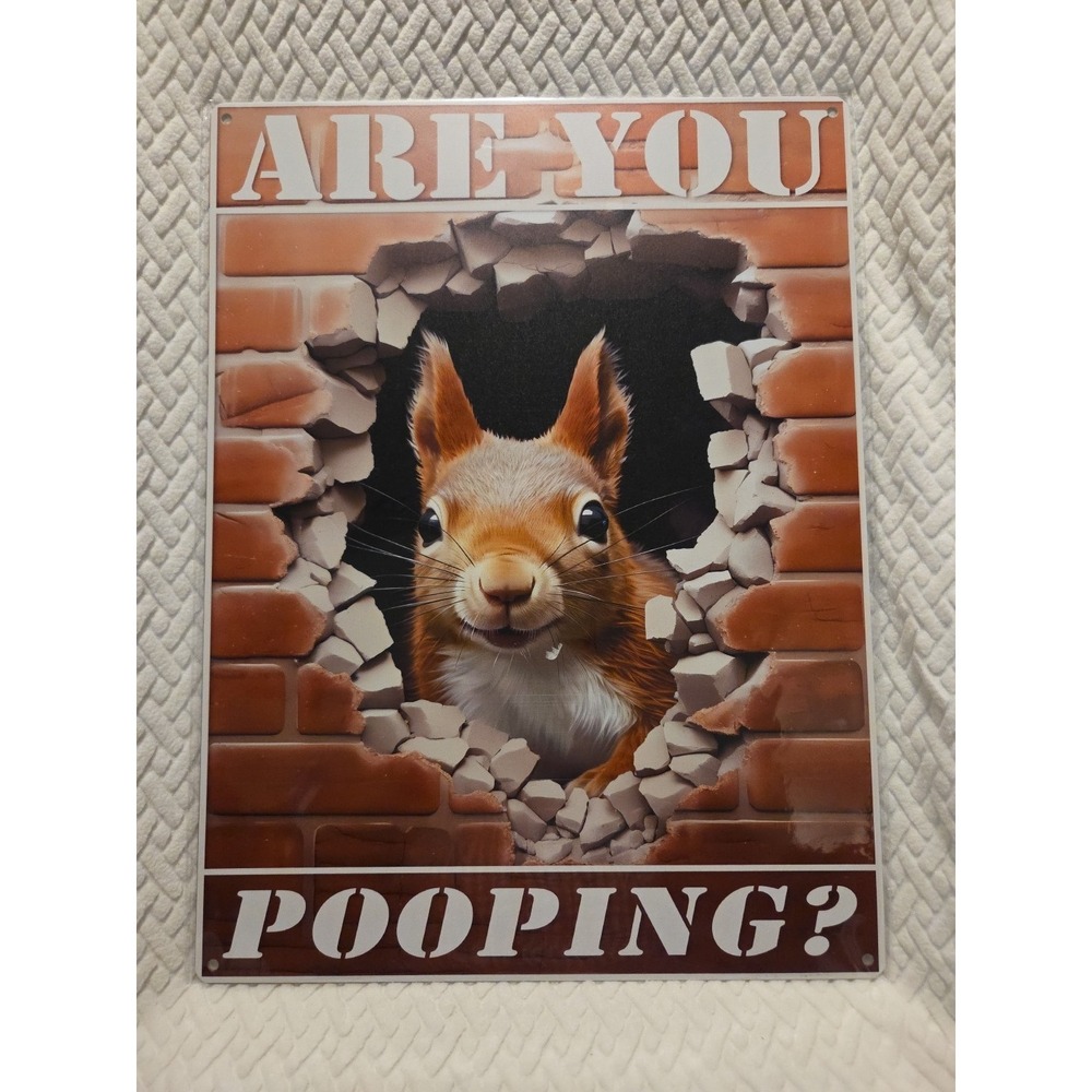 Funny Metal Tin Signs  Are you Pooping‎ Vintage Wall Art Decoration 12 x 16